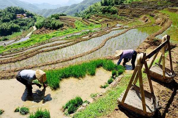 芒种晚上钓鱼怎么样，芒种时间点-第3张图片-平阳县乌魄百货商行