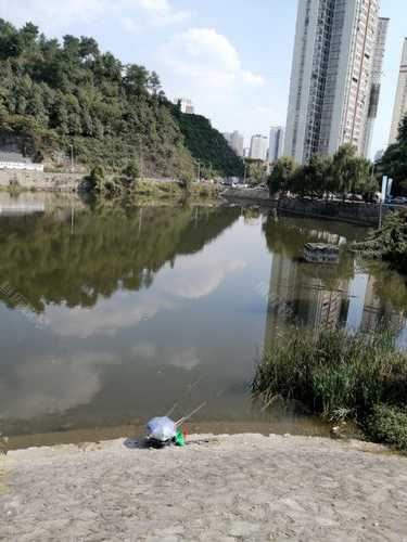 坝头钓鱼怎么样，水库坝头好钓鱼吗-第2张图片-平阳县乌魄百货商行