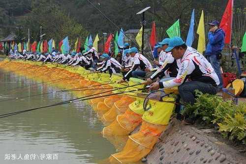 用橙子钓鱼怎么样，钓鱼橙多少钱一个！-第2张图片-平阳县乌魄百货商行