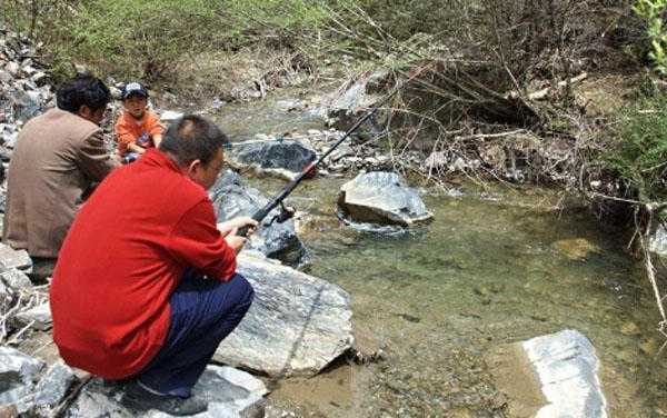 山里头钓鱼怎么样？山上钓鱼？-第2张图片-平阳县乌魄百货商行