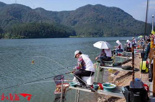 山里头钓鱼怎么样？山上钓鱼？-第1张图片-平阳县乌魄百货商行