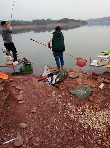 山里头钓鱼怎么样？山上钓鱼？-第3张图片-平阳县乌魄百货商行