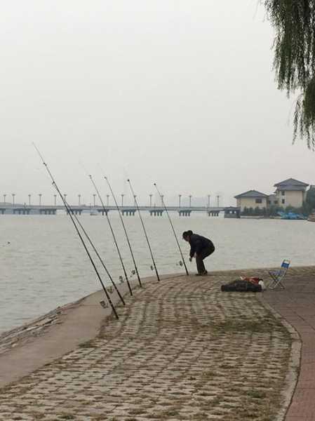 洛河枣园钓鱼怎么样，洛河枣园钓鱼怎么样呀-第1张图片-平阳县乌魄百货商行