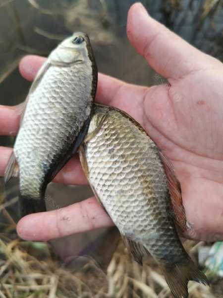 海岛浑水钓鱼怎么样，海水混浊可以钓什么鱼-第1张图片-平阳县乌魄百货商行