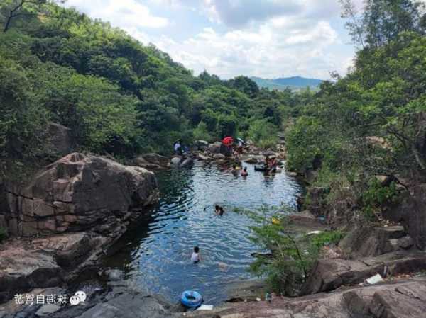 黄杨水库钓鱼怎么样，黄杨山玩水-第3张图片-平阳县乌魄百货商行