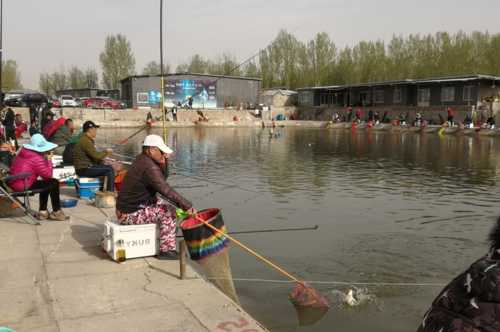 大兴夏天钓鱼怎么样，北京大兴哪里可以钓鱼？-第3张图片-平阳县乌魄百货商行