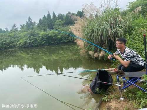 通宵钓鱼的人怎么样，钓鱼通宵好钓吗？-第3张图片-平阳县乌魄百货商行