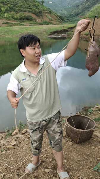 猪肝夏天钓鱼怎么样，冬天猪肝钓鱼？-第1张图片-平阳县乌魄百货商行