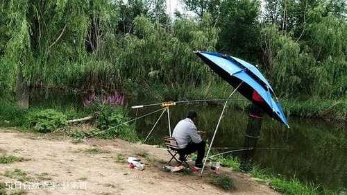 河堤直播钓鱼怎么样，河堤直播钓鱼怎么样才能钓到-第3张图片-平阳县乌魄百货商行