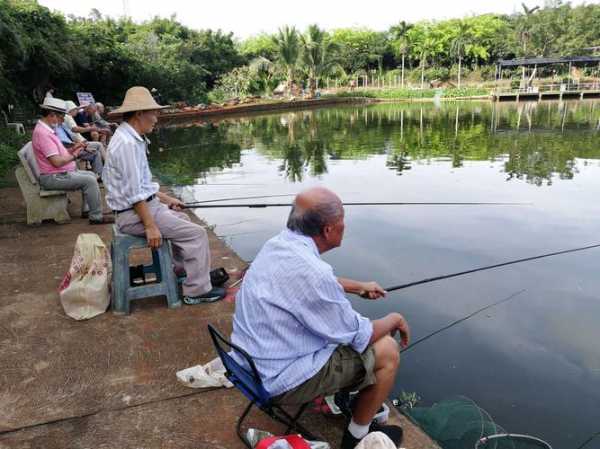 山阳湖钓鱼怎么样，山阳湖钓鱼怎么样啊！-第1张图片-平阳县乌魄百货商行