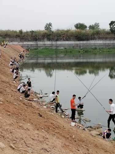 七一河沟钓鱼怎么样？七一河沟钓鱼怎么样啊？-第1张图片-平阳县乌魄百货商行