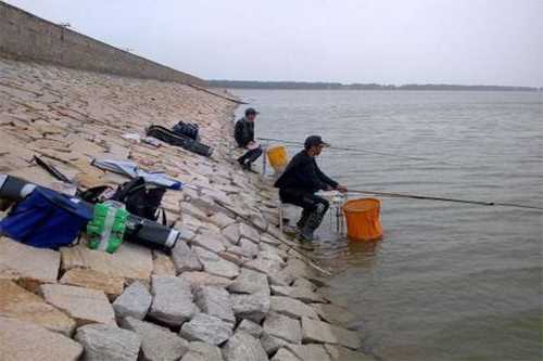 草河钓鱼怎么样？钓草鱼的地方？-第3张图片-平阳县乌魄百货商行