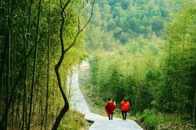 竹林奇境钓鱼怎么样，竹林风景线项目？-第3张图片-平阳县乌魄百货商行