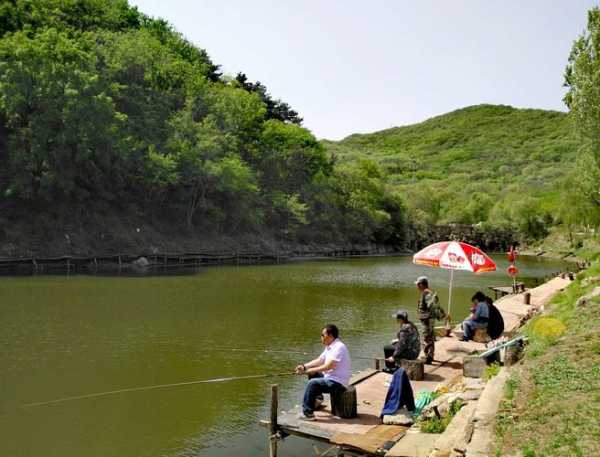 圆塘怎么样钓鱼，圆形的坑塘怎么选钓位？-第3张图片-平阳县乌魄百货商行