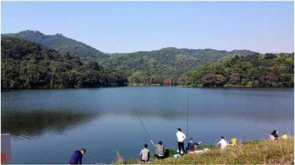 陈家山钓鱼怎么样，陈家山水库！-第1张图片-平阳县乌魄百货商行