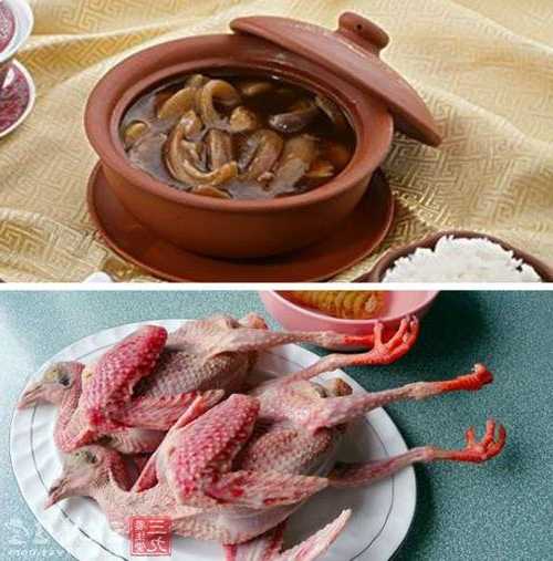 鸽子肉钓鱼怎么样？鸽子肉的最佳搭配？-第3张图片-平阳县乌魄百货商行