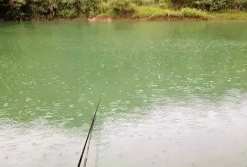 钦州春雨钓鱼怎么样？钦州春雨钓鱼怎么样呀？-第2张图片-平阳县乌魄百货商行