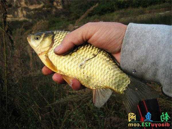 涞水冬季钓鱼怎么样，涞水冬季钓鱼怎么样好钓吗？-第3张图片-平阳县乌魄百货商行