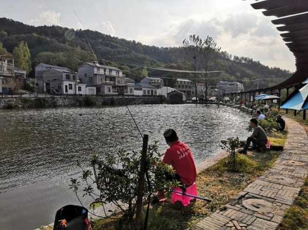 信阳长杆钓鱼怎么样，信阳钓鱼网！-第2张图片-平阳县乌魄百货商行