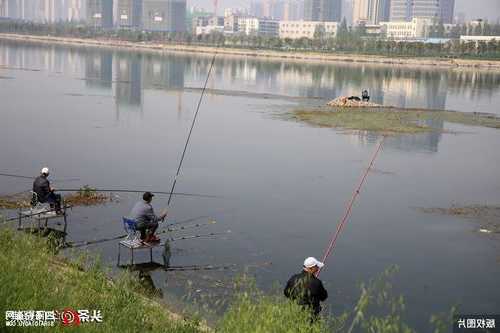 帅河口钓鱼怎么样，帅河口钓鱼怎么样好钓吗？-第3张图片-平阳县乌魄百货商行