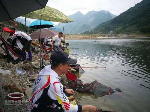 彭水河堤钓鱼怎么样，彭水野钓？-第1张图片-平阳县乌魄百货商行