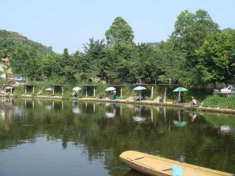 茶山鱼塘钓鱼怎么样，茶山钓点？-第3张图片-平阳县乌魄百货商行