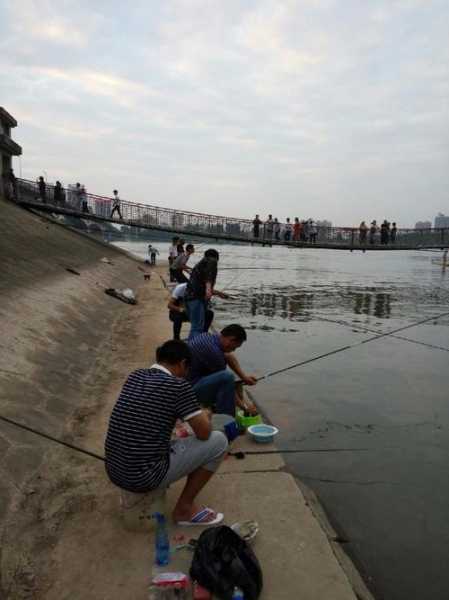 钓鱼选闸口怎么样，钓闸口坐哪里好钓-第3张图片-平阳县乌魄百货商行