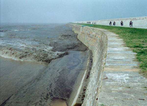 海塘观景台钓鱼怎么样，海塘公园？-第2张图片-平阳县乌魄百货商行