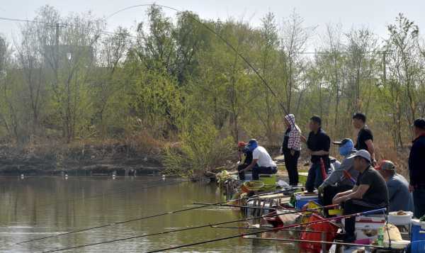 仙岩水库钓鱼怎么样，仙岩鱼塘？-第2张图片-平阳县乌魄百货商行