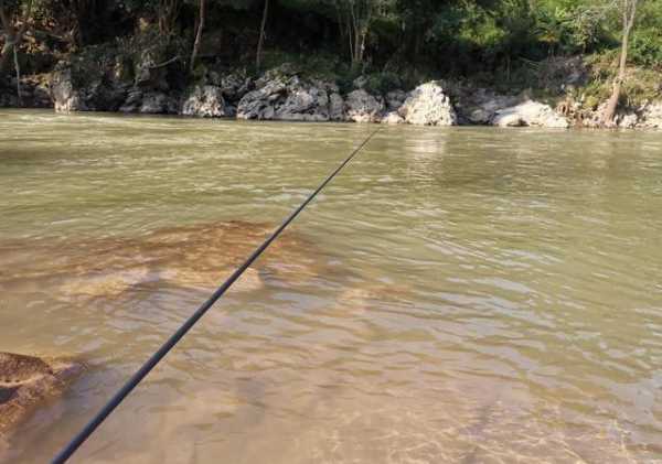 河道急流钓鱼怎么样，急流小河钓鱼怎么钓？-第2张图片-平阳县乌魄百货商行