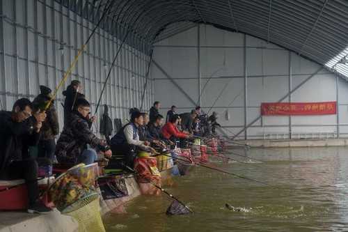 冬季钓鱼大棚怎么样，冬季钓鱼大棚怎么样才能钓到-第1张图片-平阳县乌魄百货商行