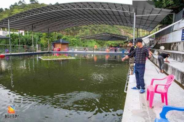 博白农家钓鱼怎么样，博白农家钓鱼怎么样啊-第2张图片-平阳县乌魄百货商行