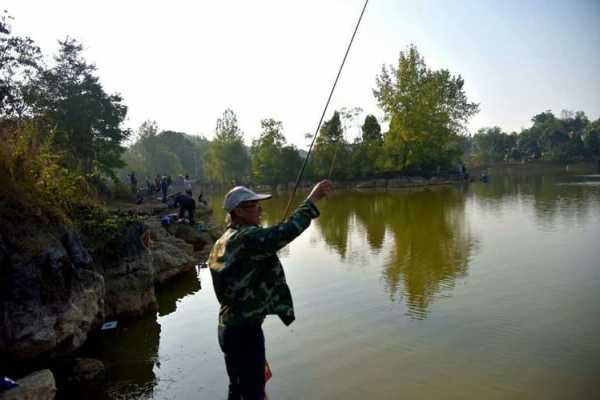 仙湖桥底钓鱼怎么样？仙湖可以钓鱼吗？-第1张图片-平阳县乌魄百货商行