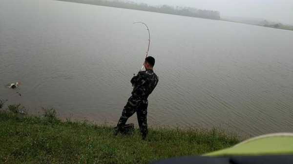 中雨钓鱼效果怎么样？中雨钓鱼的钓浮还是钓底？-第1张图片-平阳县乌魄百货商行