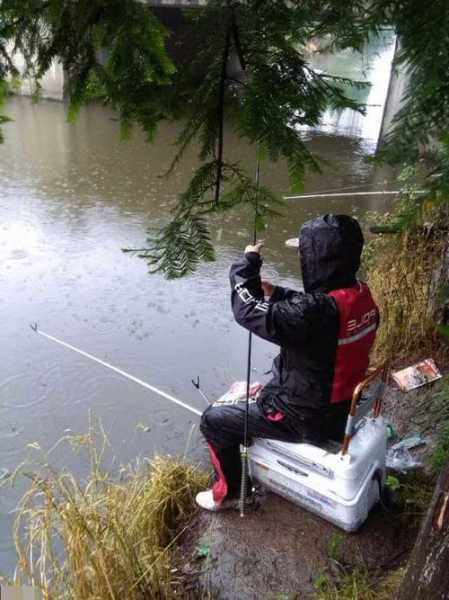 中雨钓鱼效果怎么样？中雨钓鱼的钓浮还是钓底？-第3张图片-平阳县乌魄百货商行