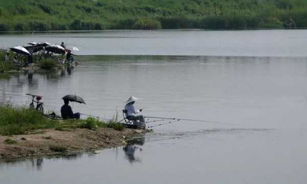 江河走船钓鱼怎么样？经常走船的河能钓鱼吗？-第3张图片-平阳县乌魄百货商行