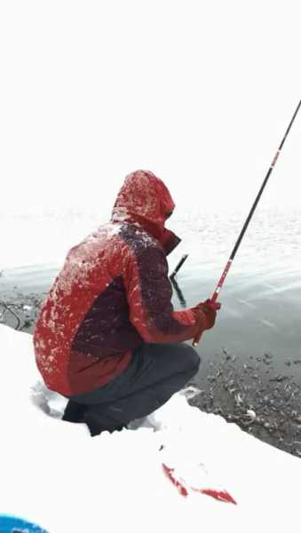 下雪之后钓鱼怎么样，下雪之后钓鱼怎么样好钓吗？-第3张图片-平阳县乌魄百货商行