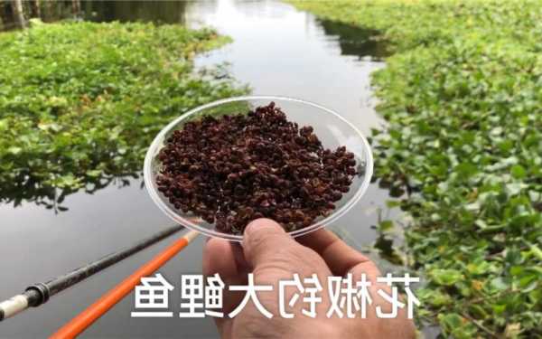 花椒钓鱼效果怎么样？花椒对钓鱼能起到效果吗？-第3张图片-平阳县乌魄百货商行