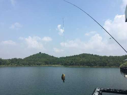 竹林码头钓鱼怎么样？竹林湖水库钓鱼？-第2张图片-平阳县乌魄百货商行