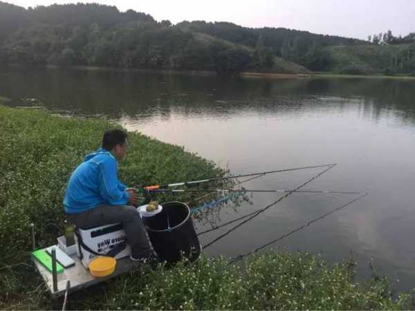 西田钓鱼怎么样，西田水库钓鱼怎么收费！-第3张图片-平阳县乌魄百货商行