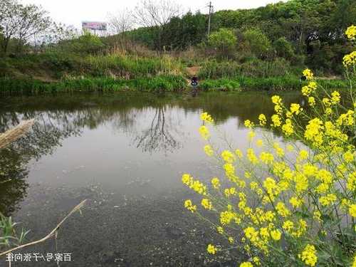 望梅路钓鱼怎么样？望梅路钓鱼怎么样好钓吗？-第3张图片-平阳县乌魄百货商行