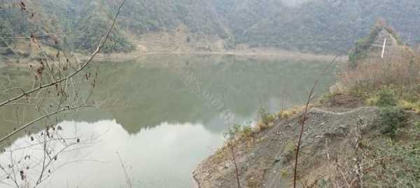 石柱黄鹤钓鱼怎么样，石柱黄水钓鱼的地方-第1张图片-平阳县乌魄百货商行