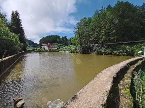 石柱黄鹤钓鱼怎么样，石柱黄水钓鱼的地方-第2张图片-平阳县乌魄百货商行