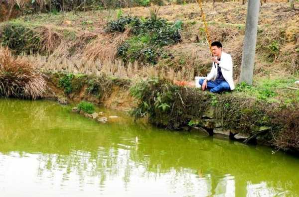 油菜大师钓鱼怎么样，油菜大师钓鱼怎么样啊-第1张图片-平阳县乌魄百货商行