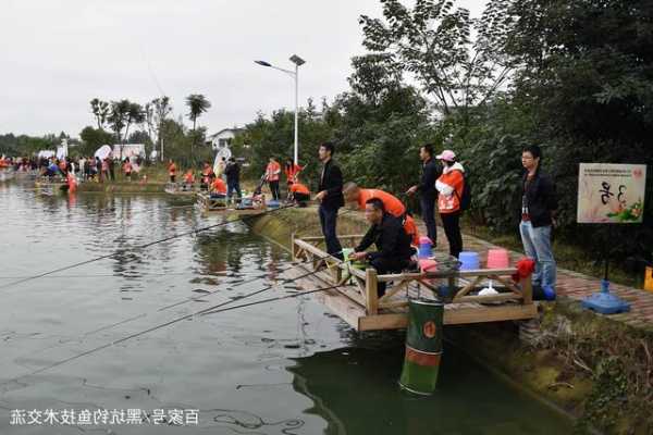 钓网钓鱼怎么样？钓网钓鱼怎么样才能钓到？-第1张图片-平阳县乌魄百货商行