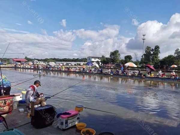 钓鱼场生意怎么样，经营钓鱼场怎样才能赚到钱？-第3张图片-平阳县乌魄百货商行