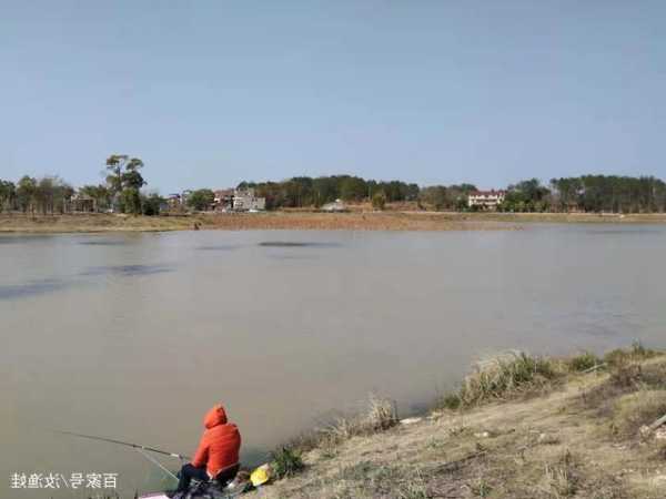 上虞泥鳅钓鱼怎么样，上虞 钓鱼？-第1张图片-平阳县乌魄百货商行