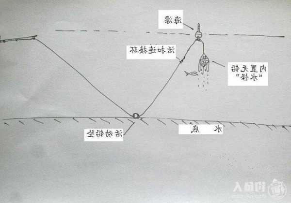 怎么样选择钓鱼主线，怎么样选择钓鱼主线和主线-第3张图片-平阳县乌魄百货商行