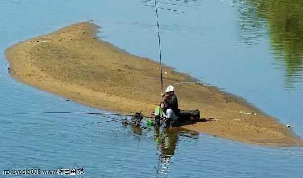 白露时节钓鱼怎么样？白露时节钓鲤鱼？-第1张图片-平阳县乌魄百货商行