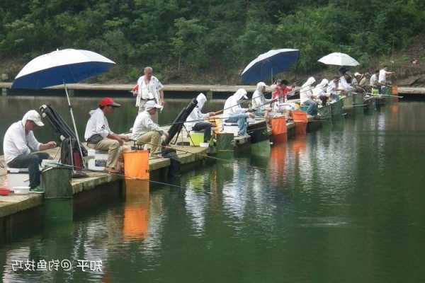 大明钓鱼团队怎么样，大明钓鱼团队怎么样知乎！-第3张图片-平阳县乌魄百货商行